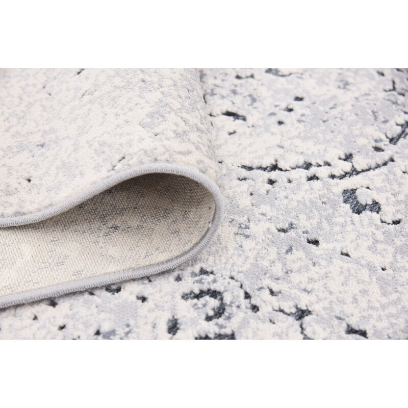 Lapoint Oriental Area Rug in Gray