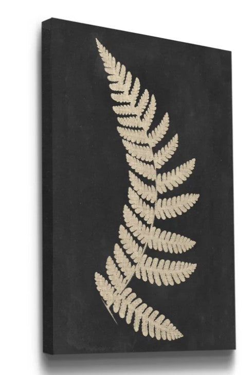 Linen Fern IV Wrapped Canvas Print 16"x20"