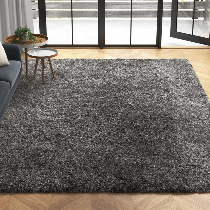 Aminur Performance Dark Gray Rug