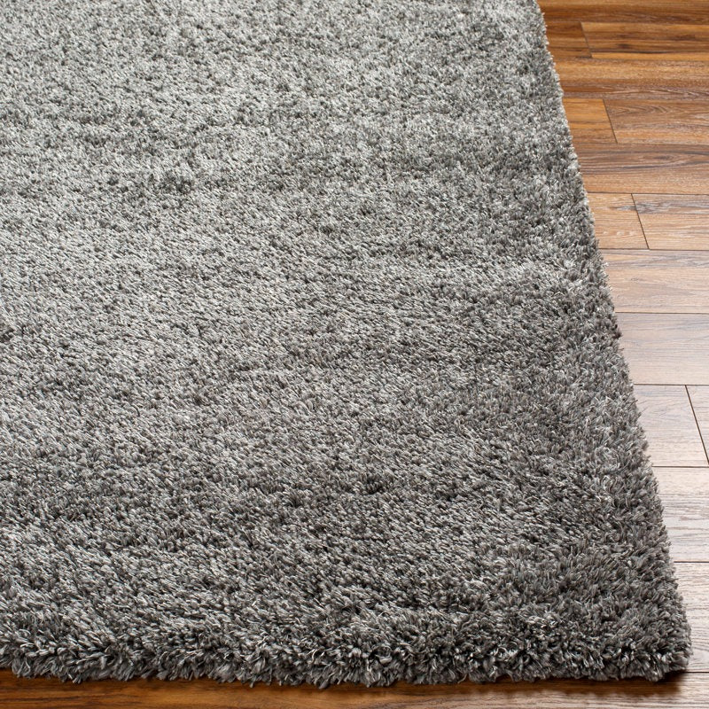 Aminur Performance Dark Gray Rug