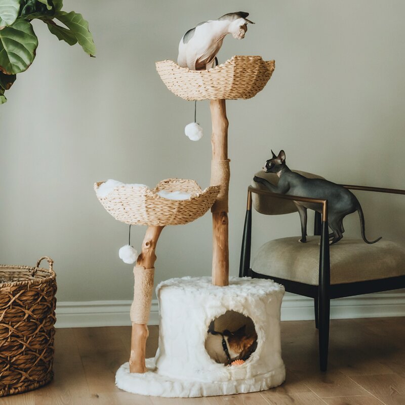Seeman Double Branch Cento Cat Tree