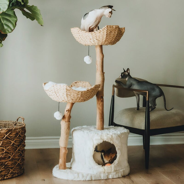 Seeman Double Branch Cento Cat Tree