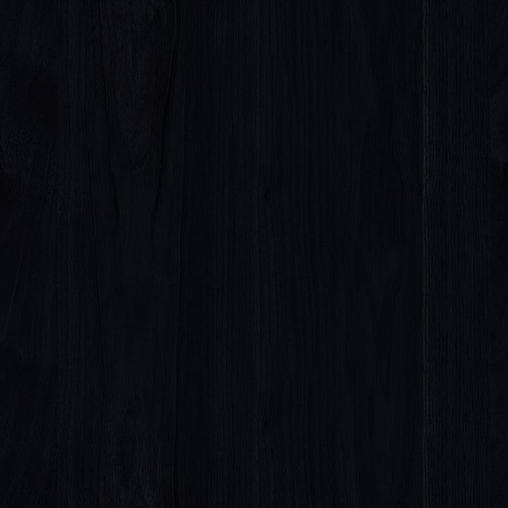 Juni Black Ash Dining Chair