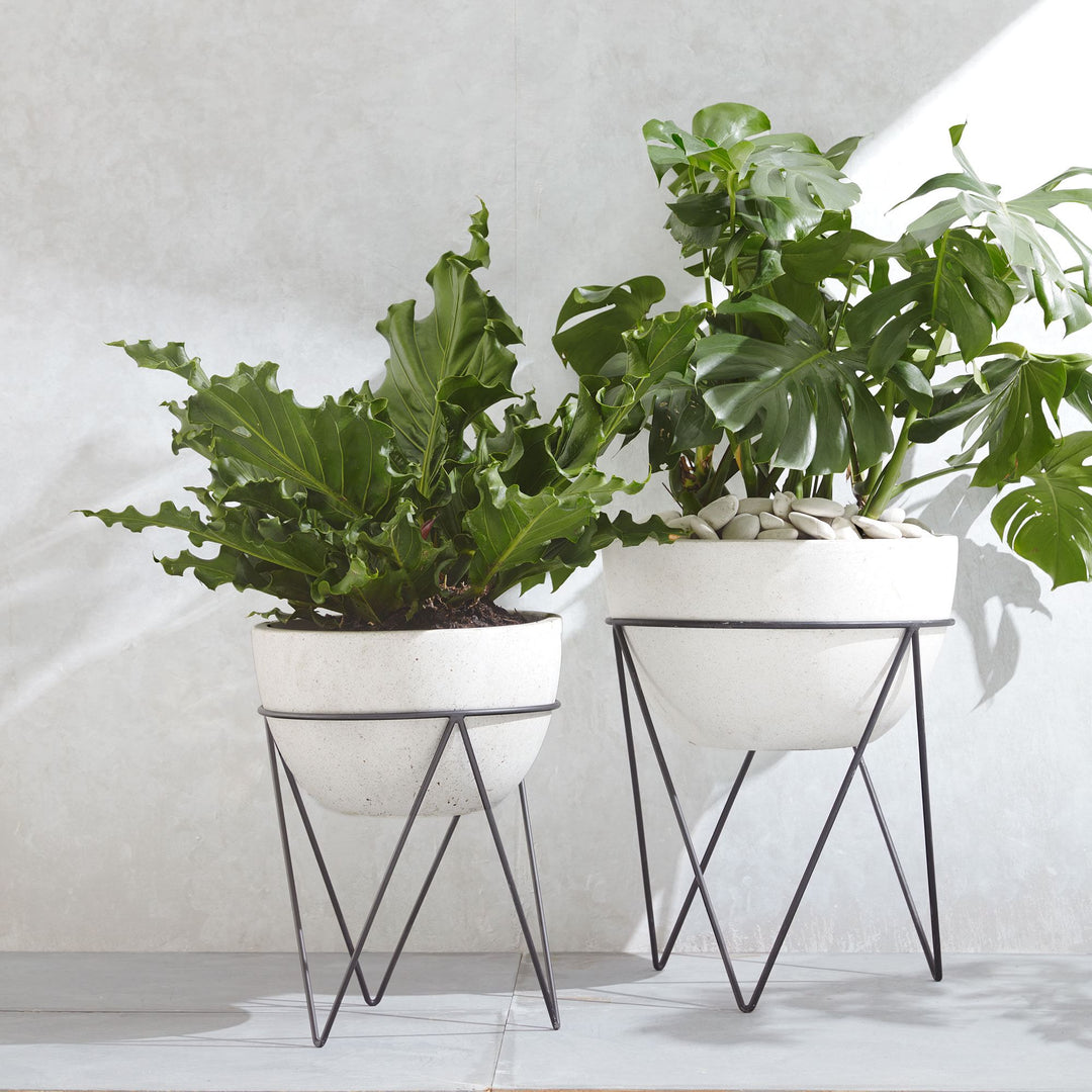 Iris Indoor Outdoor Planters