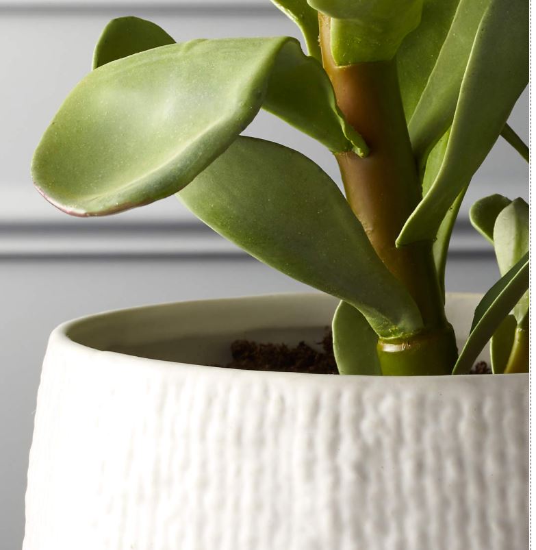 Potted Faux Succulent White Pot 14"