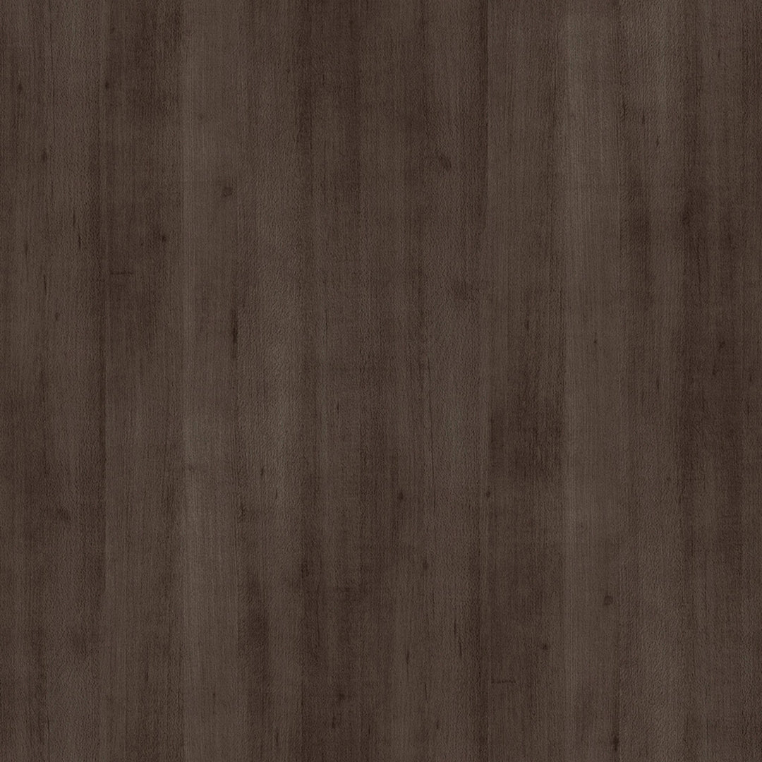 Wildon Home Domitilla Tall 2 Door Bath Cabinet