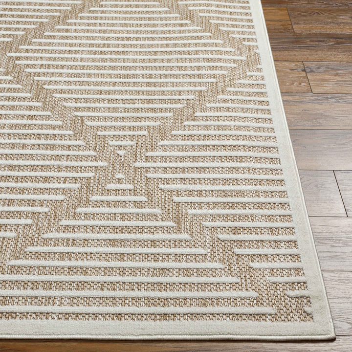 Gionni Rug-7'10x10'