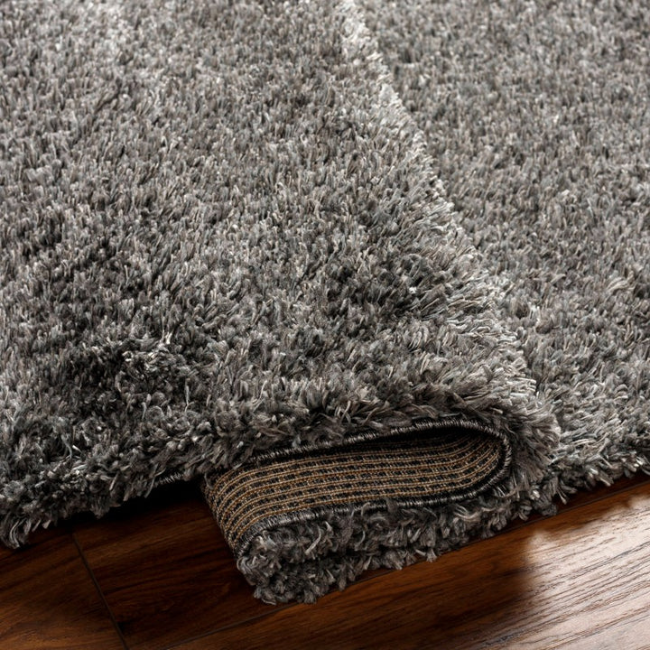 Aminur Performance Dark Gray Rug