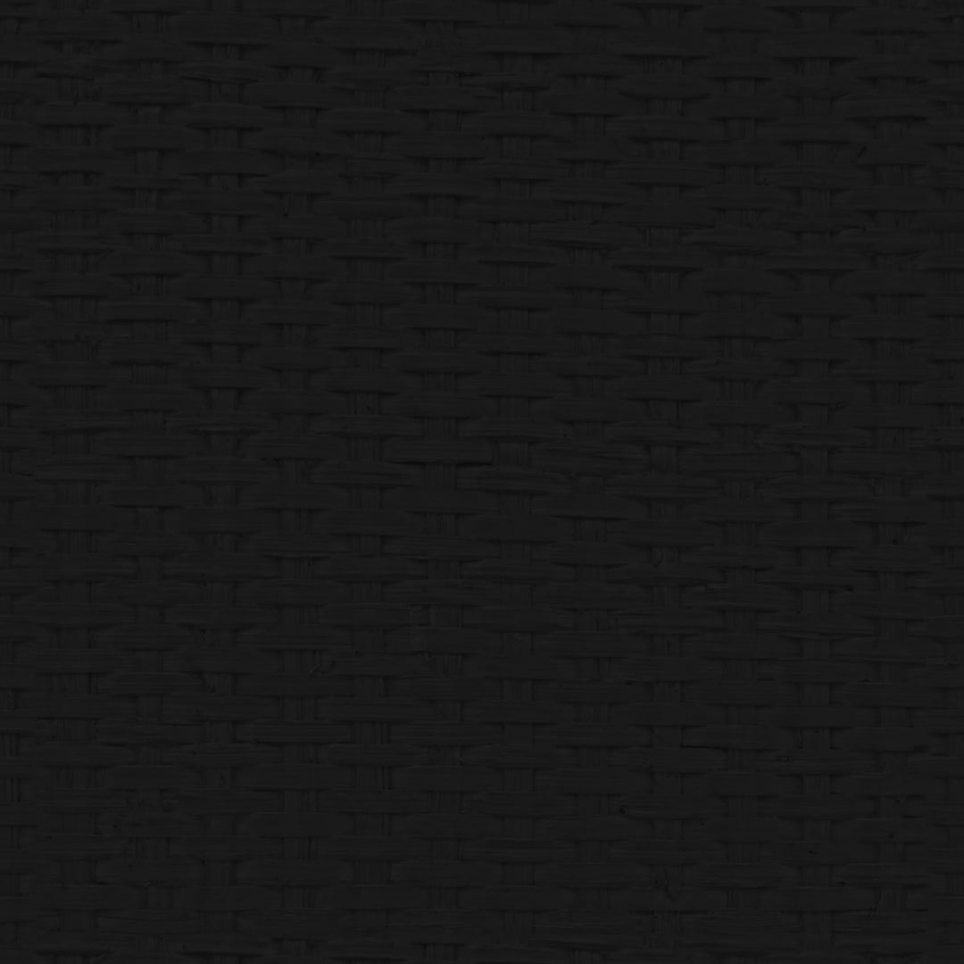 Delancey 2 Door Rattan Accent Cabinet