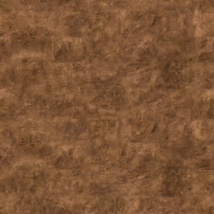 Ceylon Woven Dining Chair