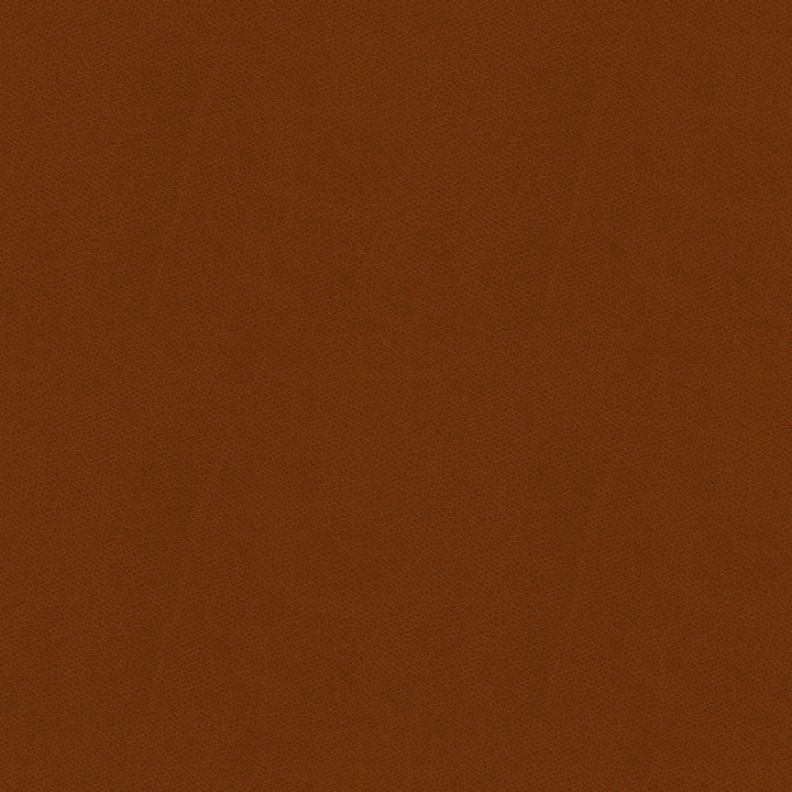 Linco Decorative Square Pillow Cover no Insert