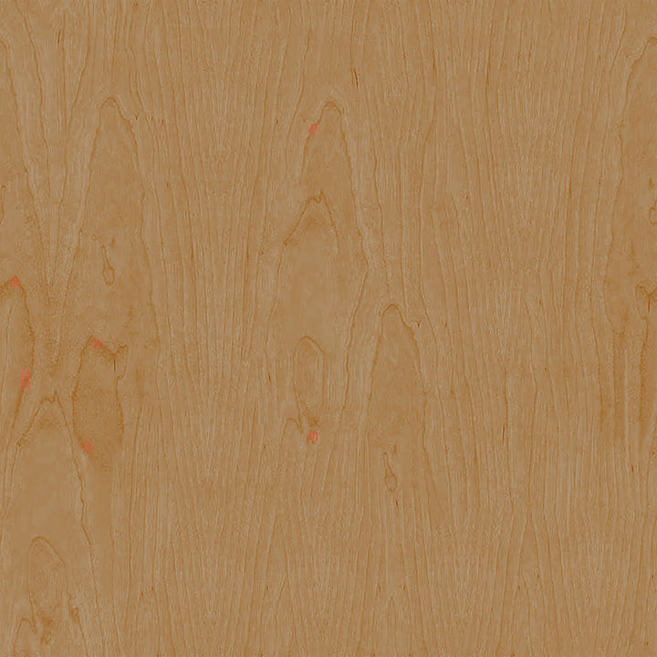 Ceylon Woven Dining Chair