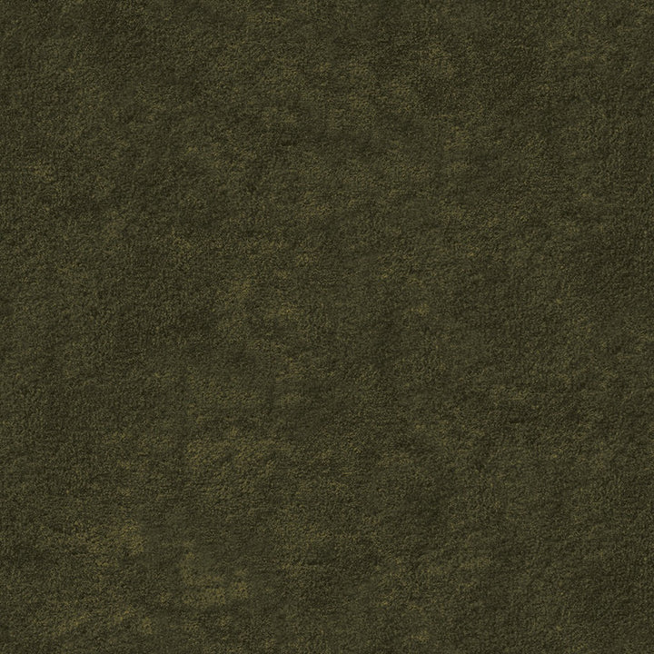 Lucca Juniper Green Pillow Set