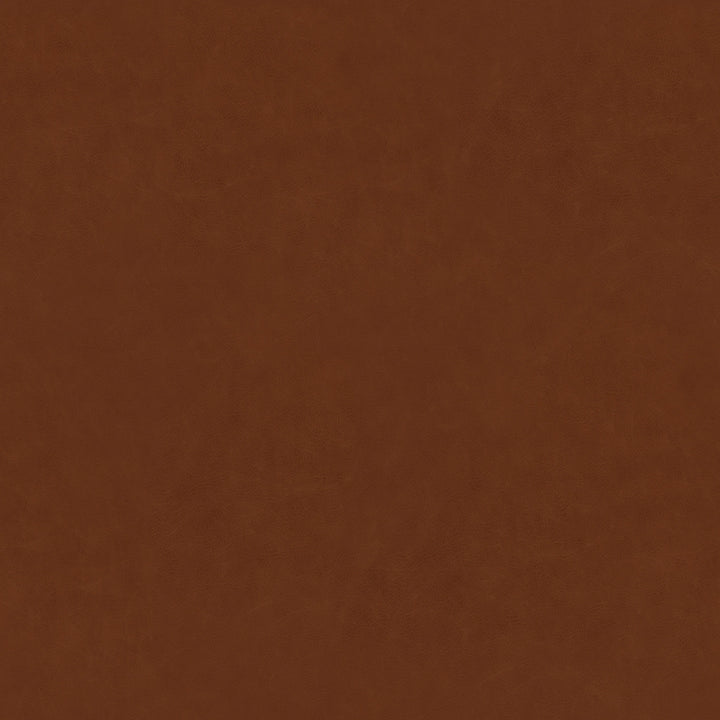 Zakariya Side Chair in Brown