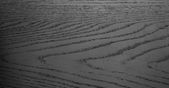 Rus Black Dining Chair Set Of 2