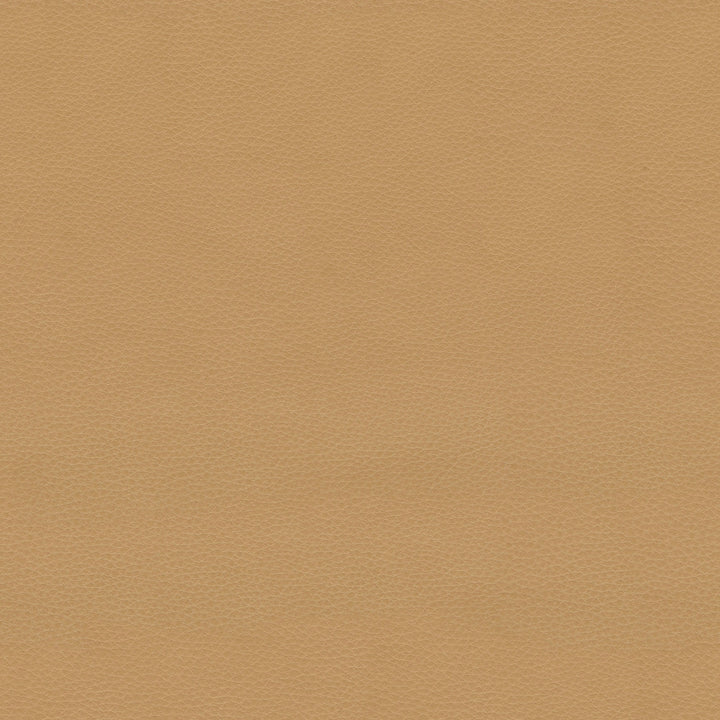 Esse Leather Counter Stool