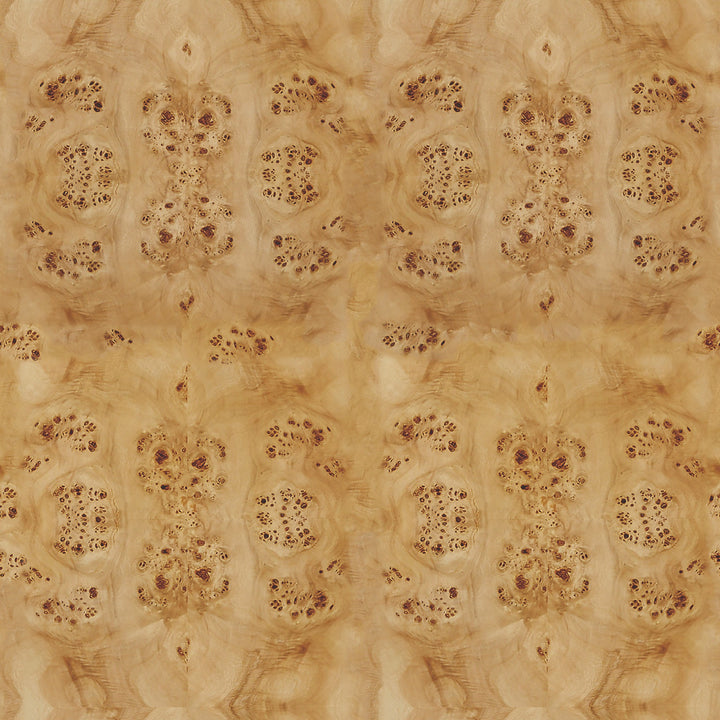 NicheI Burl Wood Console Table