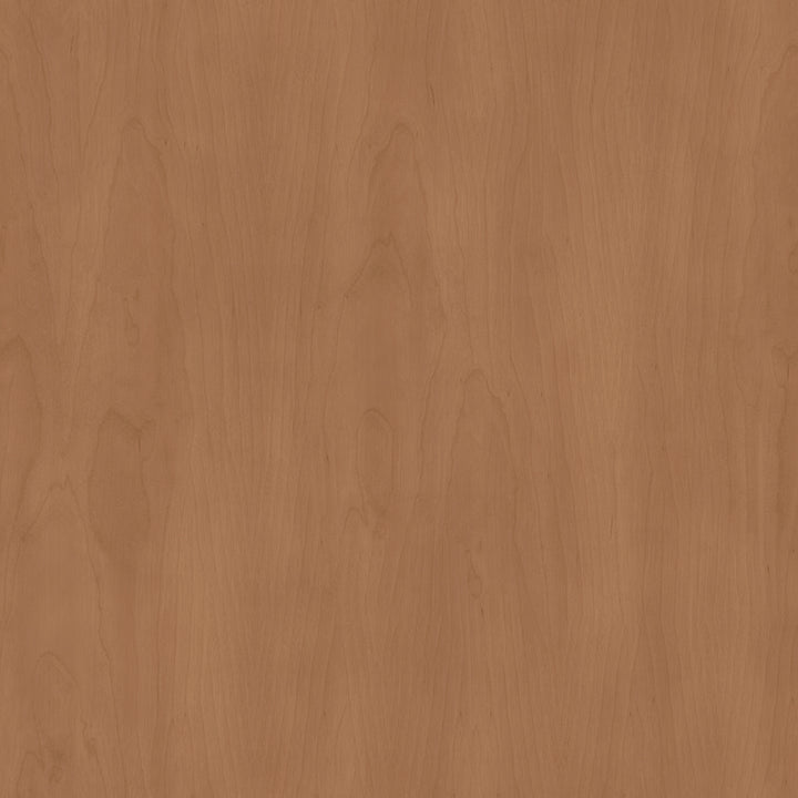 Gallman Fabric Solid Back Side Chair-Set of 2