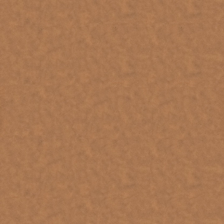 Chanel Toscana Tan Dining Chair Set Of 2