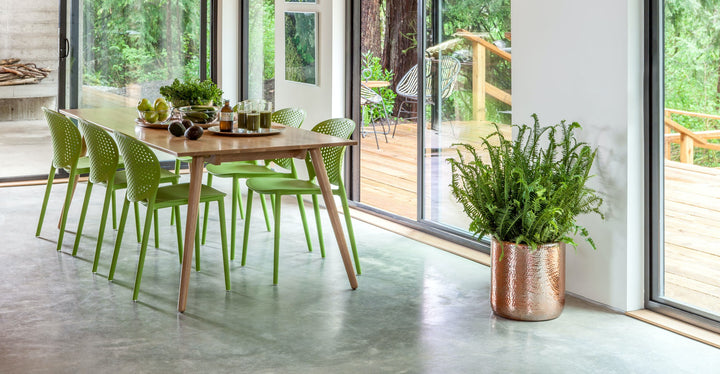 Dot Citrus Green Dining Chair Set Of 2