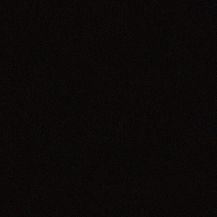 Lento Black Leather Lounge Chair