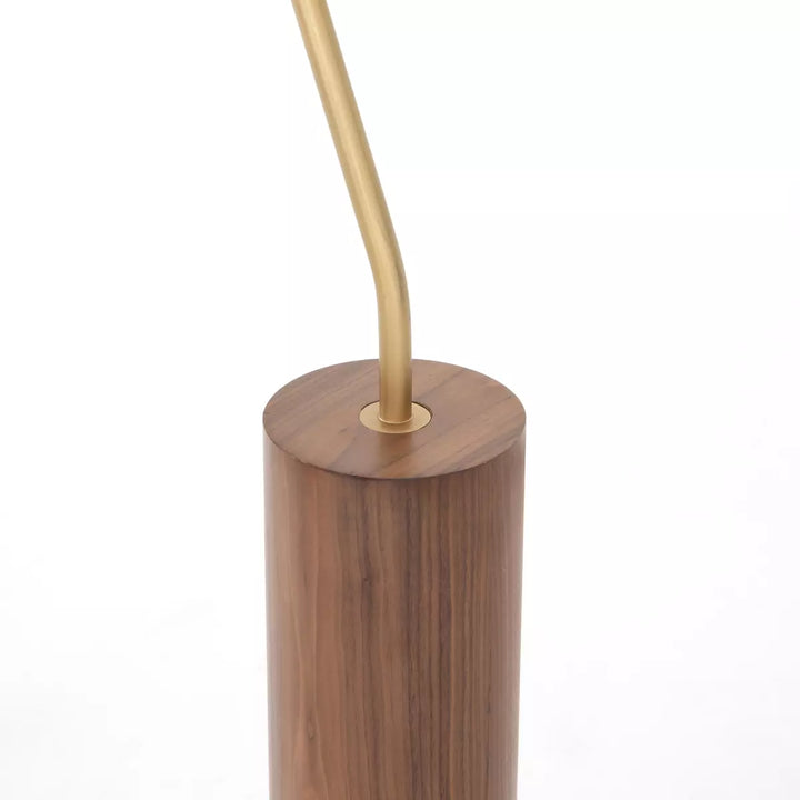 Canlish Leather Floor Lamp