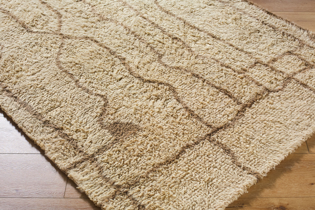 Ben Moroccan Handmade Rug 9'x12'