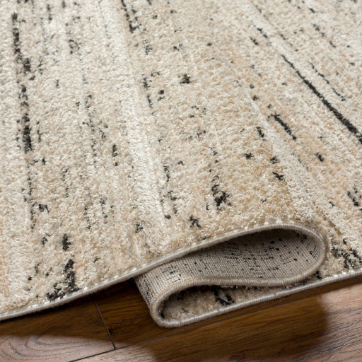 Rudy Radiance Decorative Machine Woven Rug