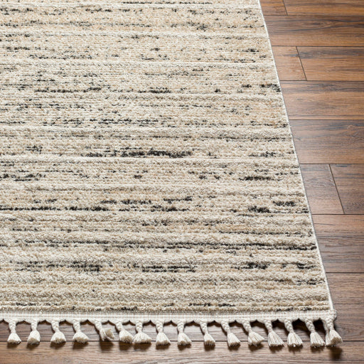 Rudy Radiance Decorative Machine Woven Rug