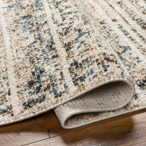 Rudy Radiance Rectangular Area Rug