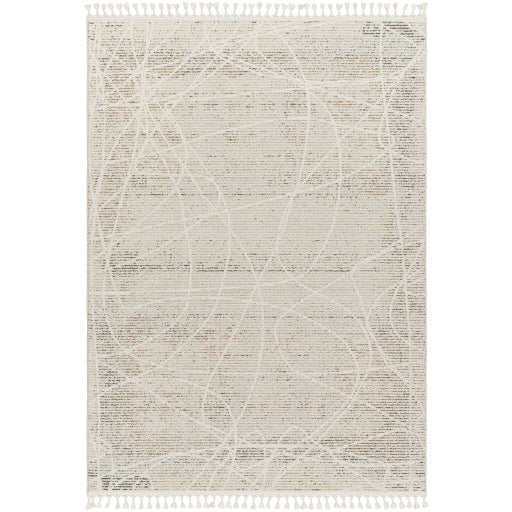 Rudy Rectangular Decorative Woven Rug