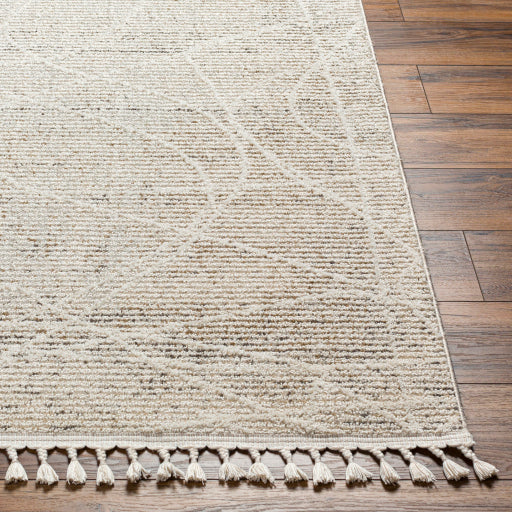 Rudy Rectangular Decorative Woven Rug