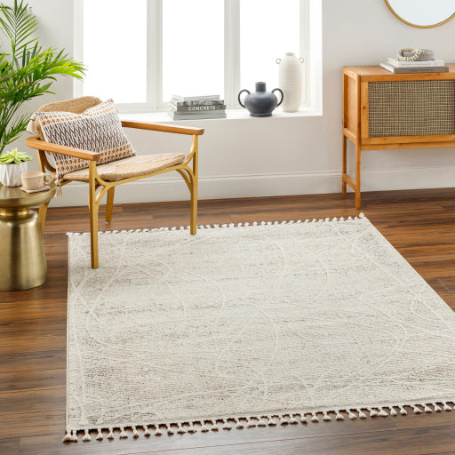 Rudy Rectangular Decorative Woven Rug