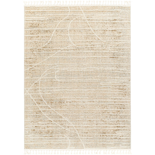 Rudy Radiant Decor Machine Woven Rug