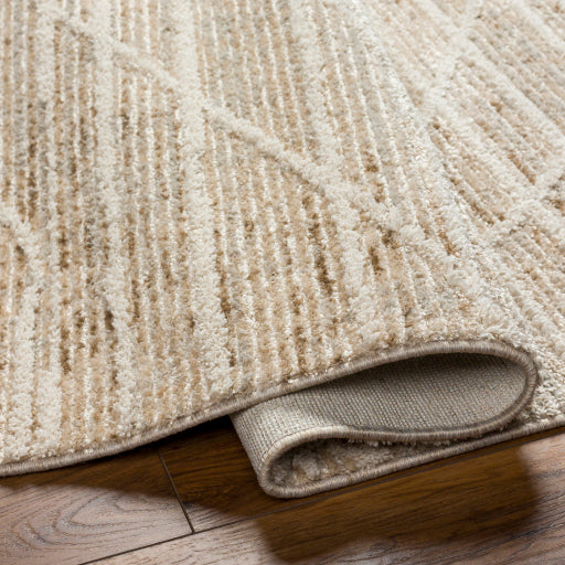 Rudy Radiant Decor Machine Woven Rug