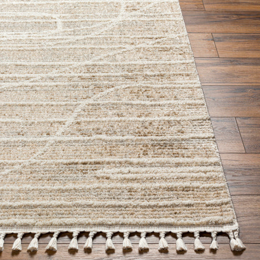 Rudy Radiant Decor Machine Woven Rug