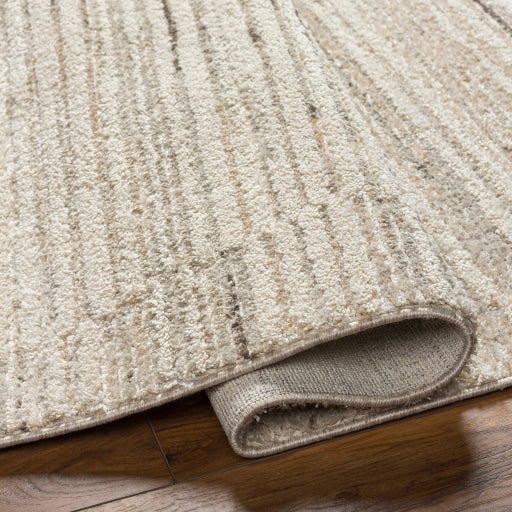 Rudy Radiance Machine Woven Rug