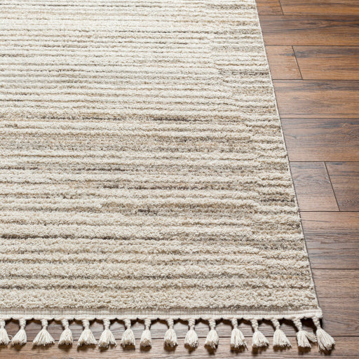 Rudy Radiance Machine Woven Rug