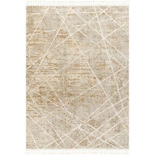 Rudy Regal Decor Machine Woven Rug