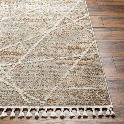 Rudy Regal Decor Machine Woven Rug