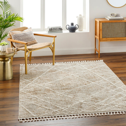Rudy Regal Decor Machine Woven Rug