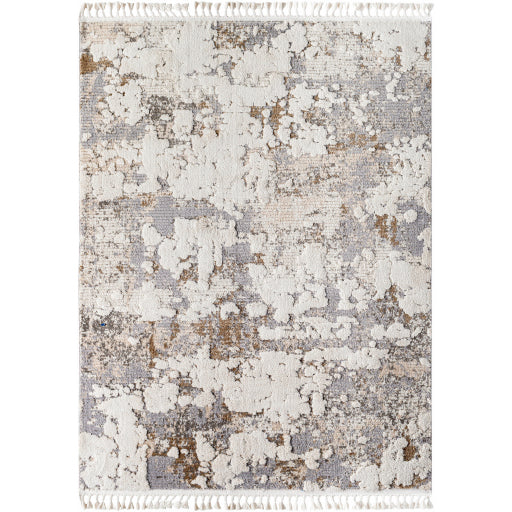Rudy Radiant Decor Machine Woven Rug