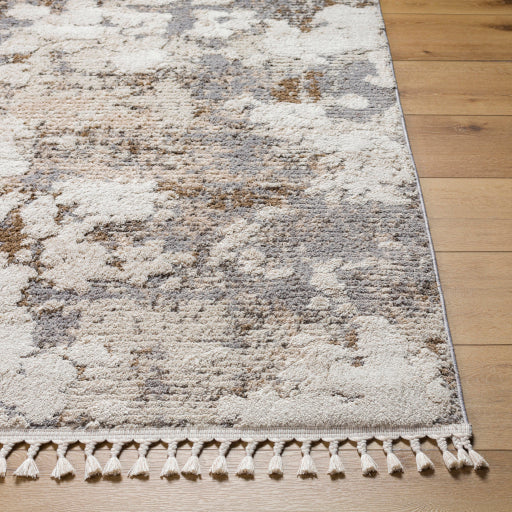 Rudy Radiant Decor Machine Woven Rug