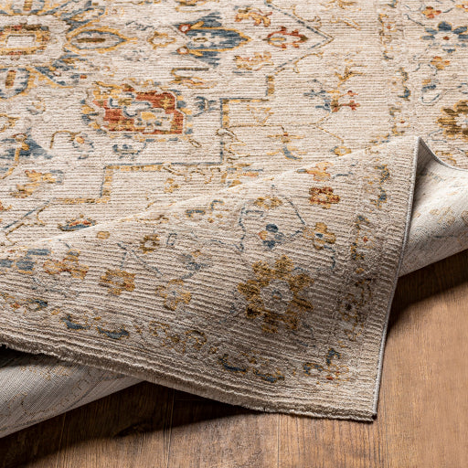 Reina Radiance Machine Woven Runner Rug