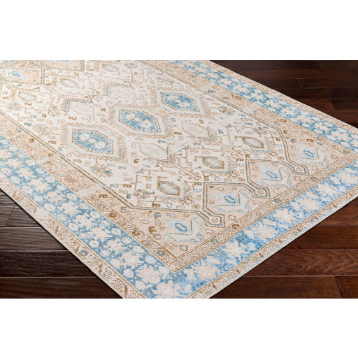 Regen Radiance Machine Woven Rug