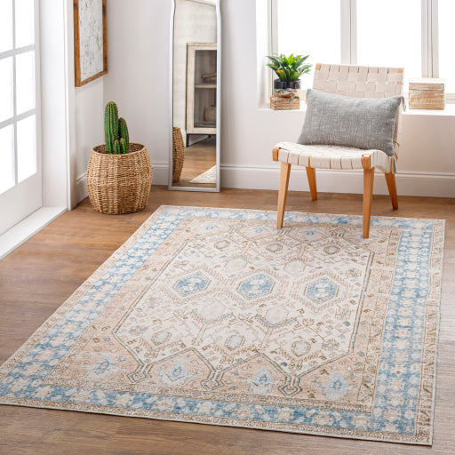 Regen Radiance Machine Woven Rug
