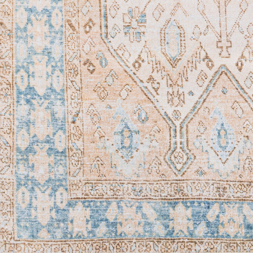 Regen Radiance Machine Woven Rug