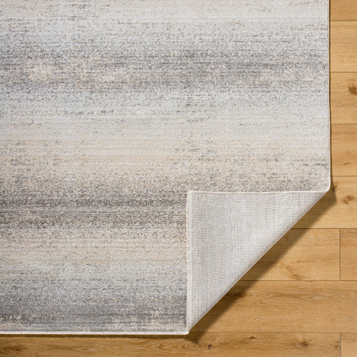 Rojin Regal Runner Machine Woven Rug