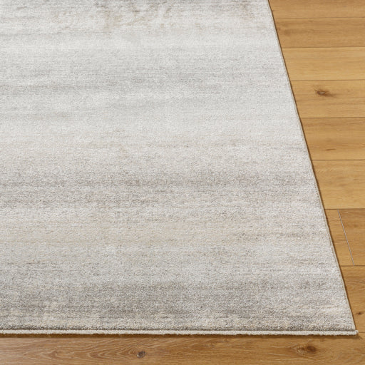 Rojin Regal Runner Machine Woven Rug