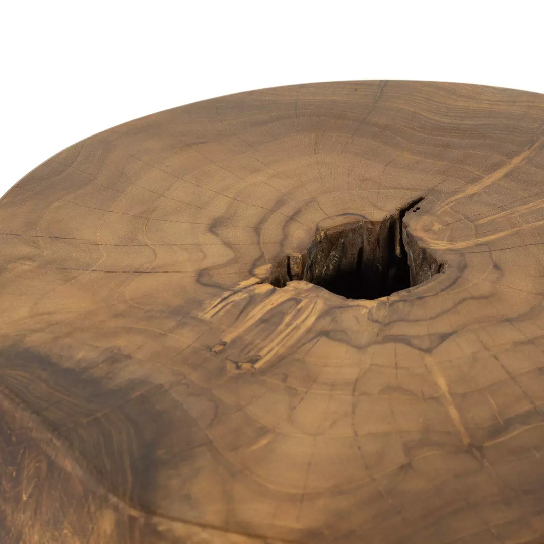 Raye Outdoor End Table